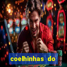 coelhinhas do brasil acompanhantes